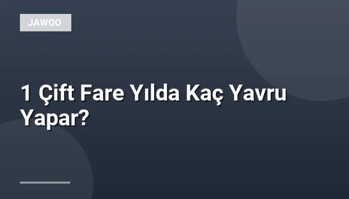 1 Çift Fare Yılda Kaç Yavru Yapar?