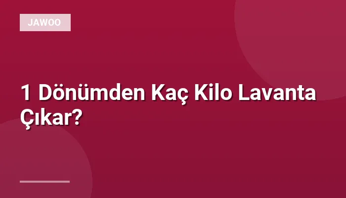 1 Dönümden Kaç Kilo Lavanta Çıkar?