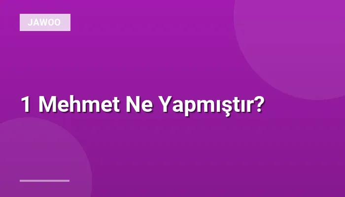 1 Mehmet Ne Yapmıştır?