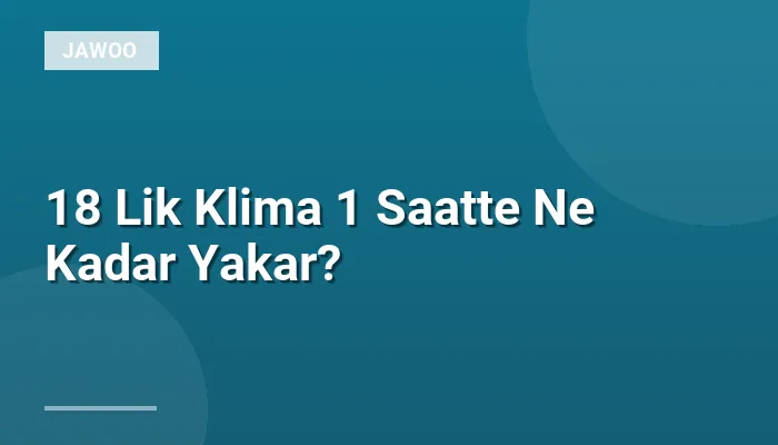 18 Lik Klima 1 Saatte Ne Kadar Yakar?