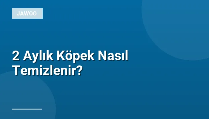 2 Aylık Köpek Nasıl Temizlenir?