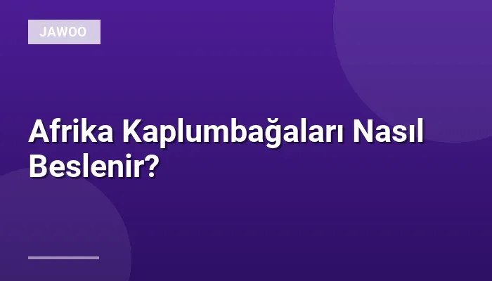 Afrika Kaplumbağaları Nasıl Beslenir?