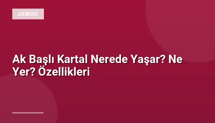 Ak Başlı Kartal Nerede Yaşar? Ne Yer? Özellikleri