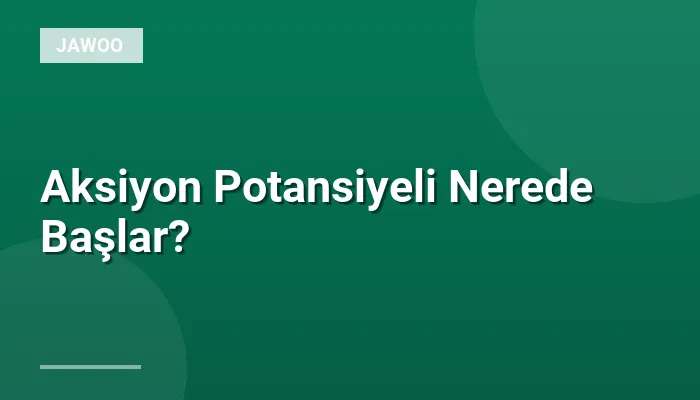 Aksiyon Potansiyeli Nerede Başlar?
