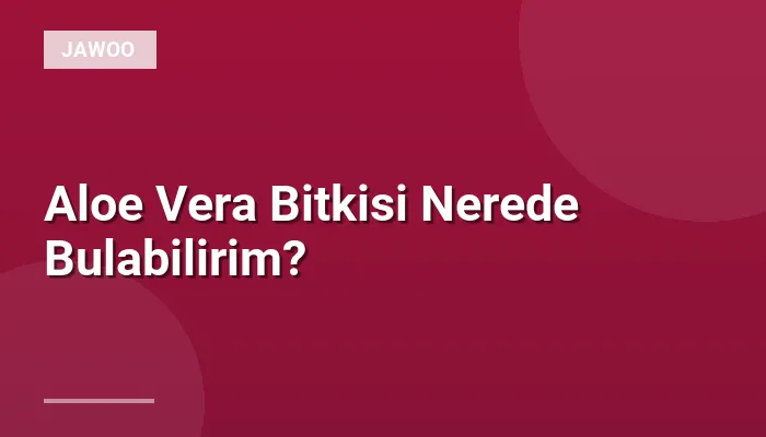 Aloe Vera Bitkisi Nerede Bulabilirim?