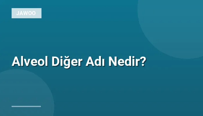 Alveol Diğer Adı Nedir?