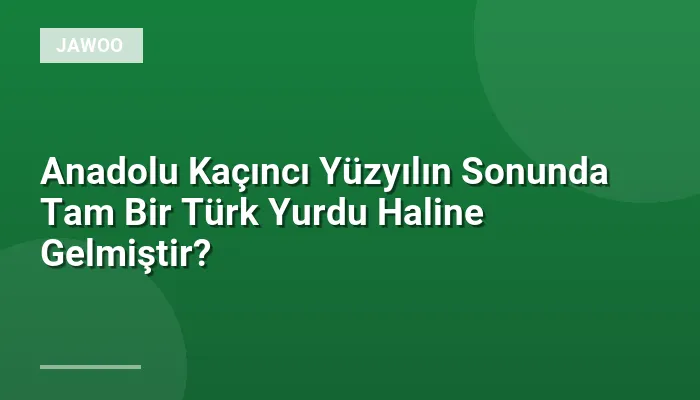 Anadolu Kaçıncı Yüzyılın Sonunda Tam Bir Türk Yurdu Haline Gelmiştir?