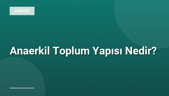 Anaerkil Toplum Yapısı Nedir?
