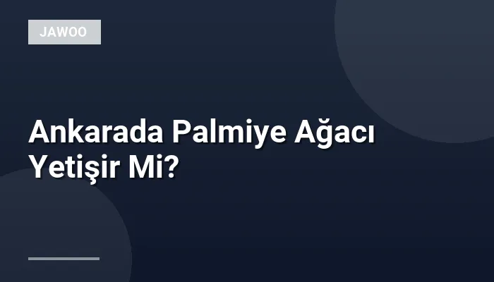 Ankarada Palmiye Ağacı Yetişir Mi?
