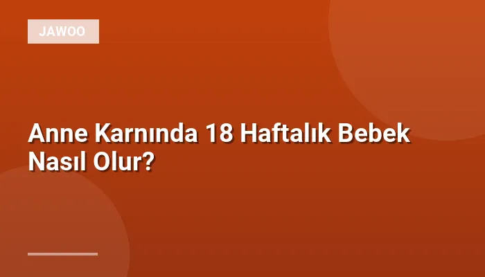 Anne Karnında 18 Haftalık Bebek Nasıl Olur?