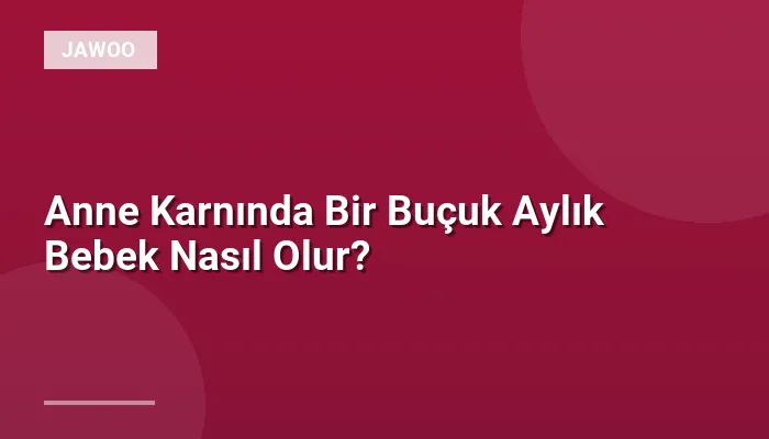 Anne Karnında Bir Buçuk Aylık Bebek Nasıl Olur?