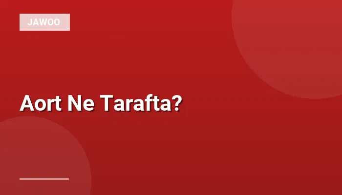 Aort Ne Tarafta?