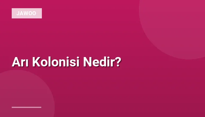 Arı Kolonisi Nedir?