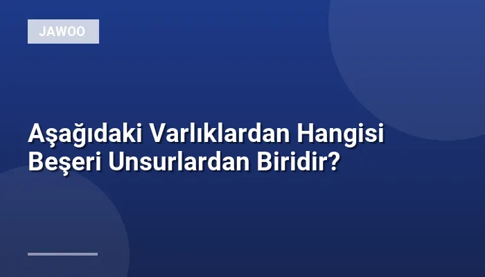 Aşağıdaki Varlıklardan Hangisi Beşeri Unsurlardan Biridir?