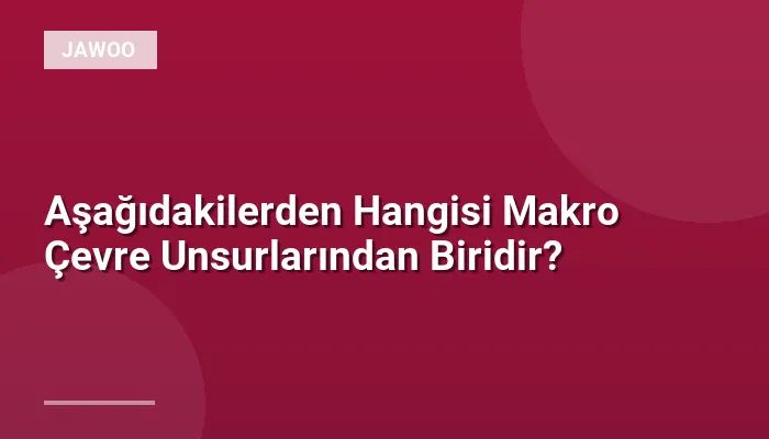 Aşağıdakilerden Hangisi Makro Çevre Unsurlarından Biridir?