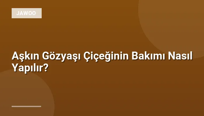 Aşkın Gözyaşı Çiçeğinin Bakımı Nasıl Yapılır?