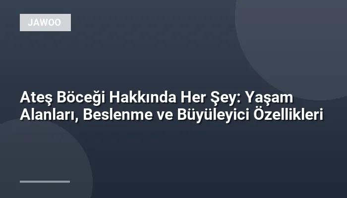 Ateş Böceği Hakkında Her Şey: Yaşam Alanları, Beslenme ve Büyüleyici Özellikleri