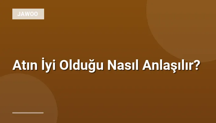 Atın İyi Olduğu Nasıl Anlaşılır?