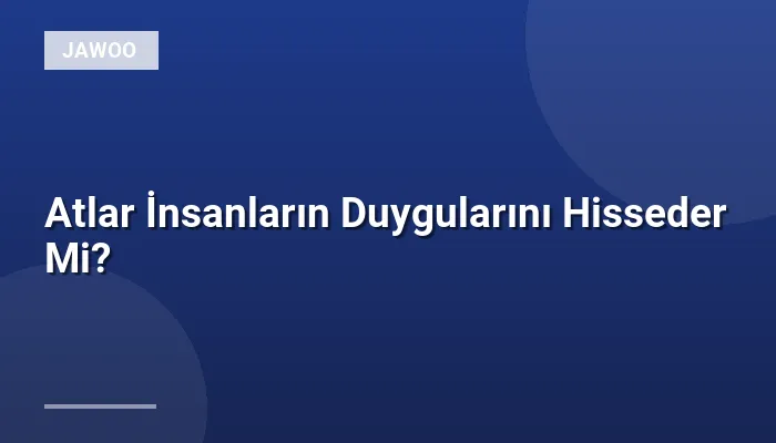 Atlar İnsanların Duygularını Hisseder Mi?