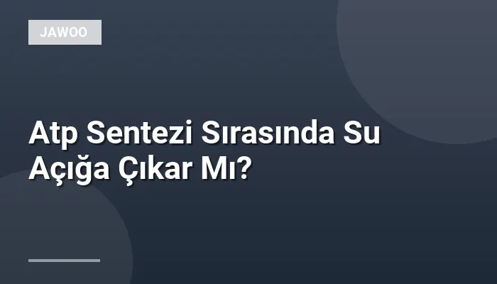 Atp Sentezi Sırasında Su Açığa Çıkar Mı?
