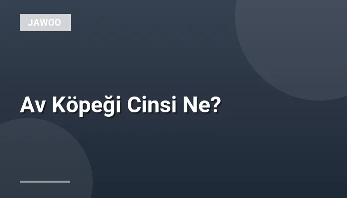 Av Köpeği Cinsi Ne?