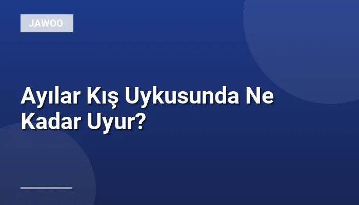Ayılar Kış Uykusunda Ne Kadar Uyur?