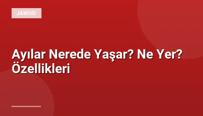 Ayılar Nerede Yaşar? Ne Yer? Özellikleri