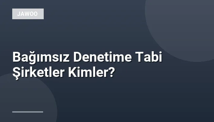 Bağımsız Denetime Tabi Şirketler Kimler?