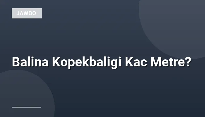 Balina Kopekbaligi Kac Metre?