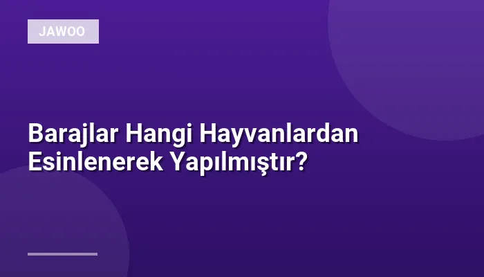 Barajlar Hangi Hayvanlardan Esinlenerek Yapılmıştır?