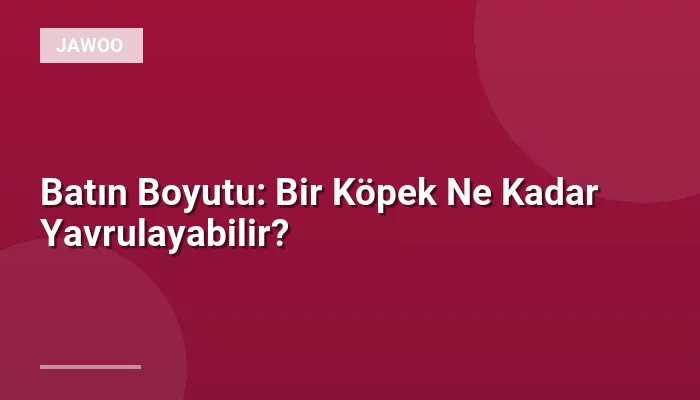 Batın Boyutu: Bir Köpek Ne Kadar Yavrulayabilir?
