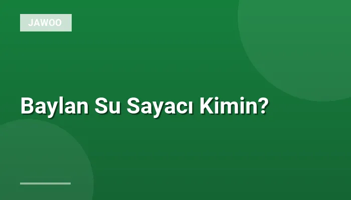 Baylan Su Sayacı Kimin?