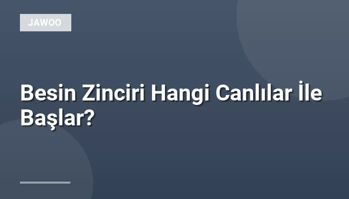 Besin Zinciri Hangi Canlılar İle Başlar?