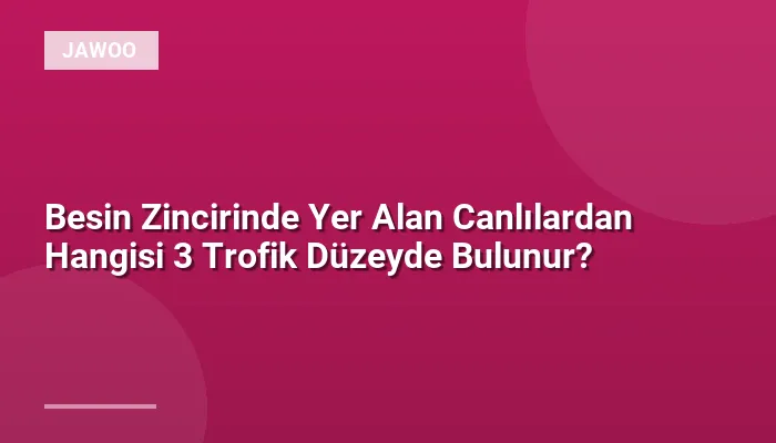 Besin Zincirinde Yer Alan Canlılardan Hangisi 3 Trofik Düzeyde Bulunur?