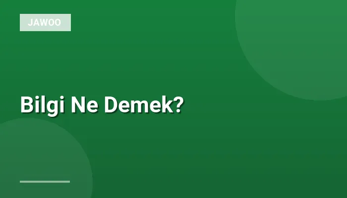 Bilgi Ne Demek?