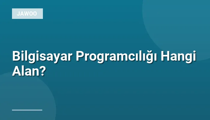 Bilgisayar Programcılığı Hangi Alan?