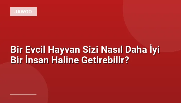 Bir Evcil Hayvan Sizi Nasıl Daha İyi Bir İnsan Haline Getirebilir?