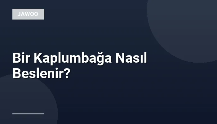 Bir Kaplumbağa Nasıl Beslenir?