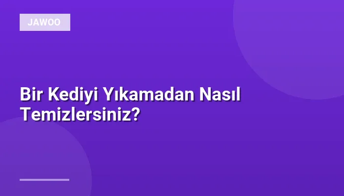Bir Kediyi Yıkamadan Nasıl Temizlersiniz?
