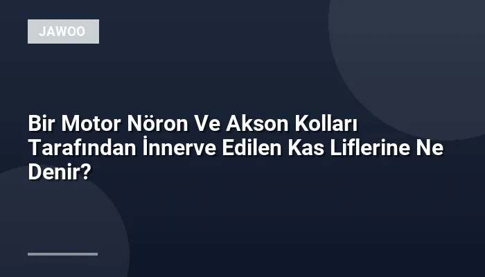 Bir Motor Nöron Ve Akson Kolları Tarafından İnnerve Edilen Kas Liflerine Ne Denir?