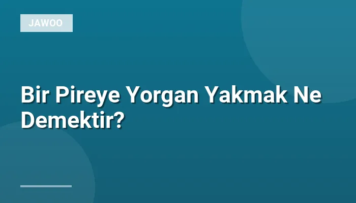 Bir Pireye Yorgan Yakmak Ne Demektir?