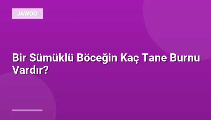 Bir Sümüklü Böceğin Kaç Tane Burnu Vardır?