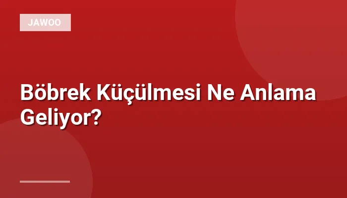 Böbrek Küçülmesi Ne Anlama Geliyor?