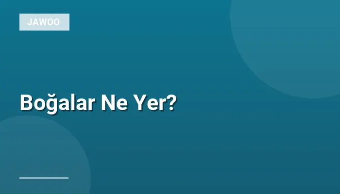 Boğalar Ne Yer?