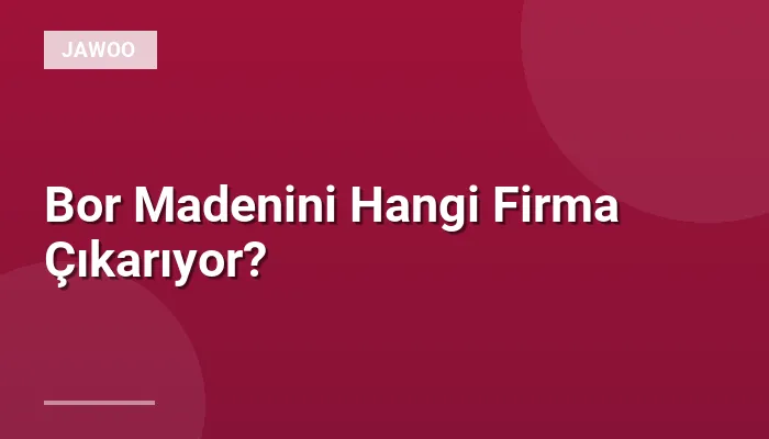 Bor Madenini Hangi Firma Çıkarıyor?