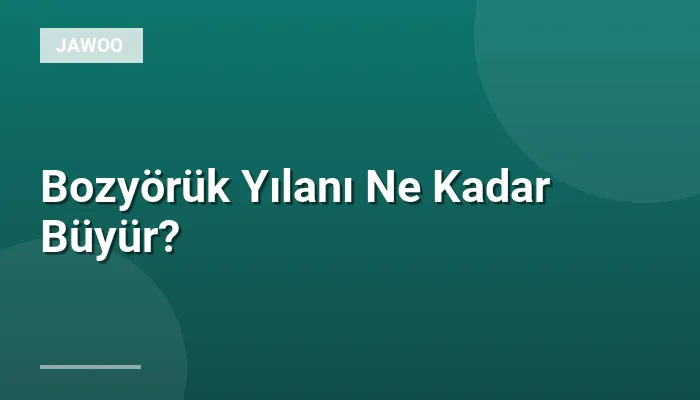 Bozyörük Yılanı Ne Kadar Büyür?