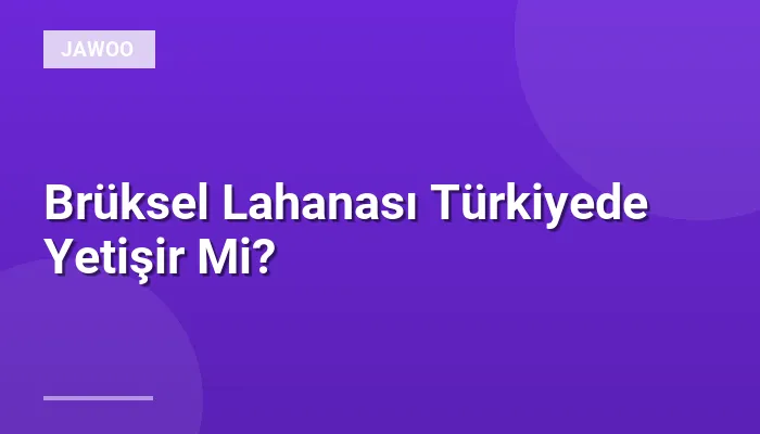 Brüksel Lahanası Türkiyede Yetişir Mi?