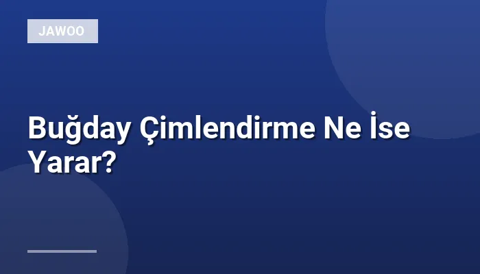 Buğday Çimlendirme Ne İse Yarar?