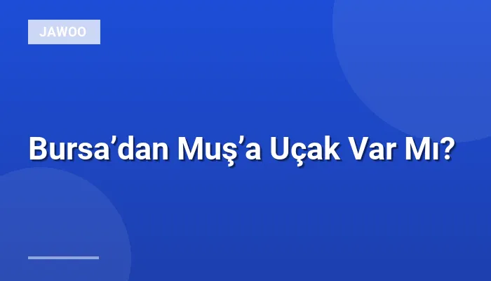 Bursa’dan Muş’a Uçak Var Mı?