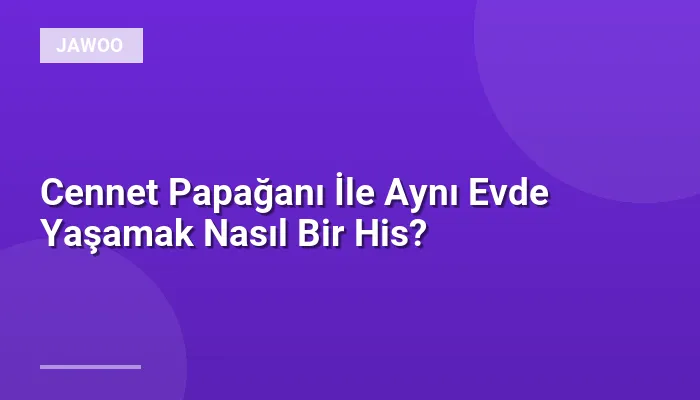 Cennet Papağanı İle Aynı Evde Yaşamak Nasıl Bir His?
